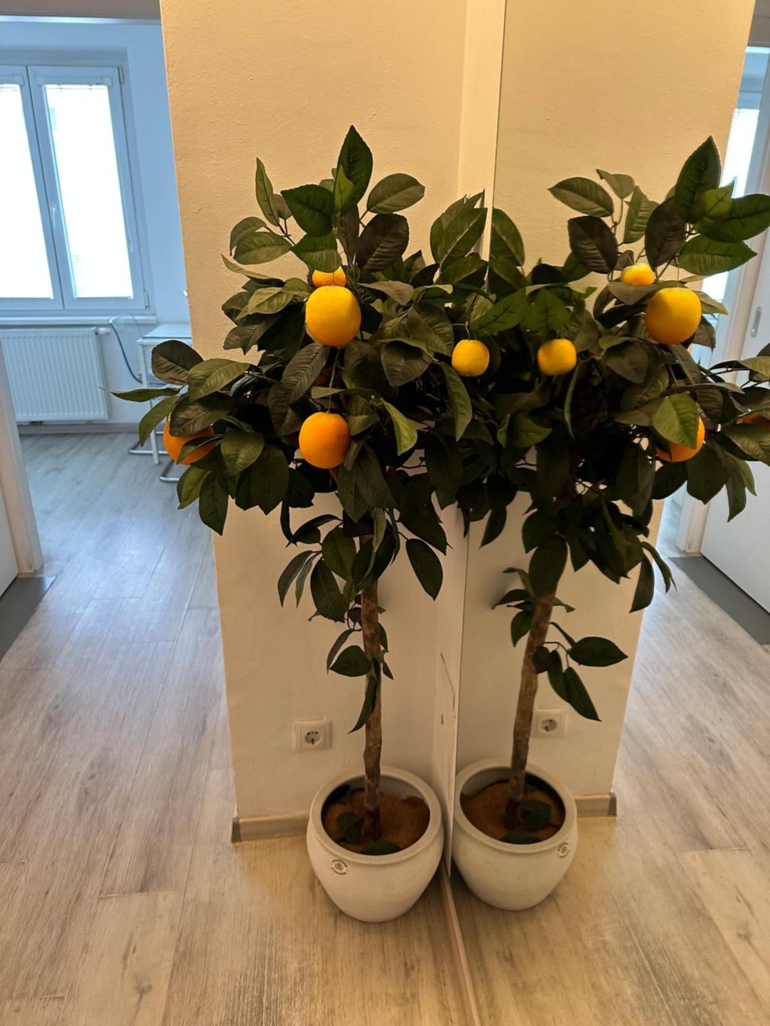 Apartment Opera فيينا المظهر الخارجي الصورة