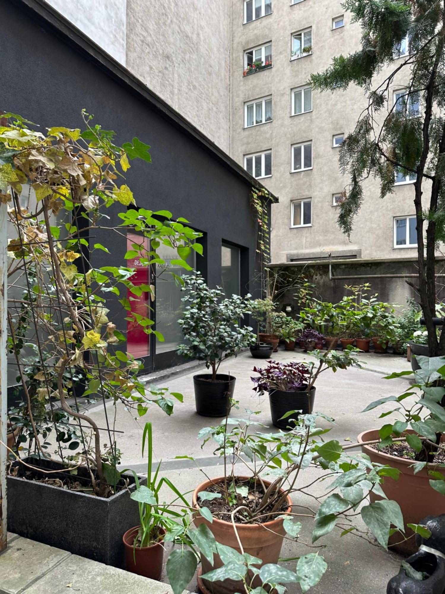 Apartment Opera فيينا المظهر الخارجي الصورة